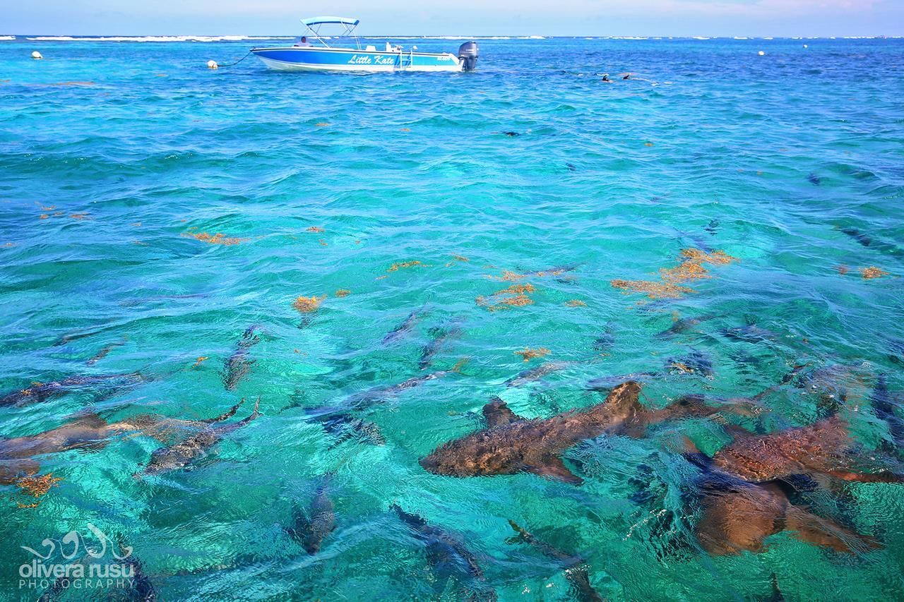 Cayo Espanto San Pedro  Dış mekan fotoğraf